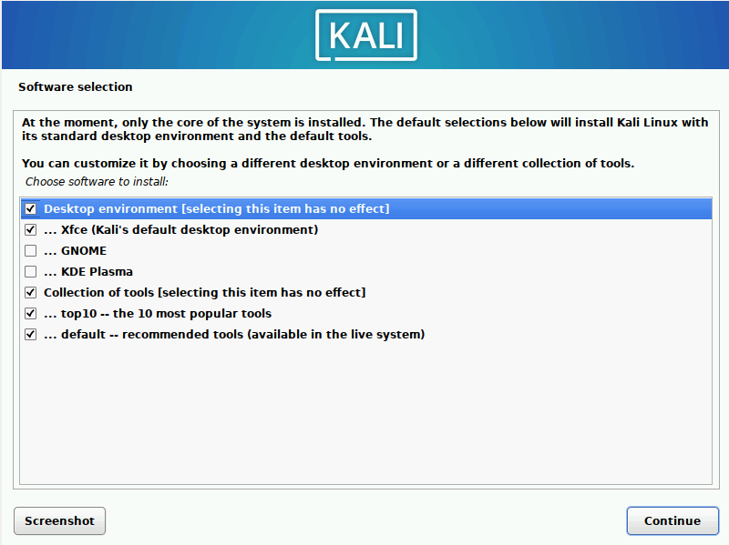 Kali Linux Installation Process